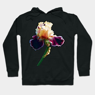 Irises - Cream and Magenta Iris Hoodie